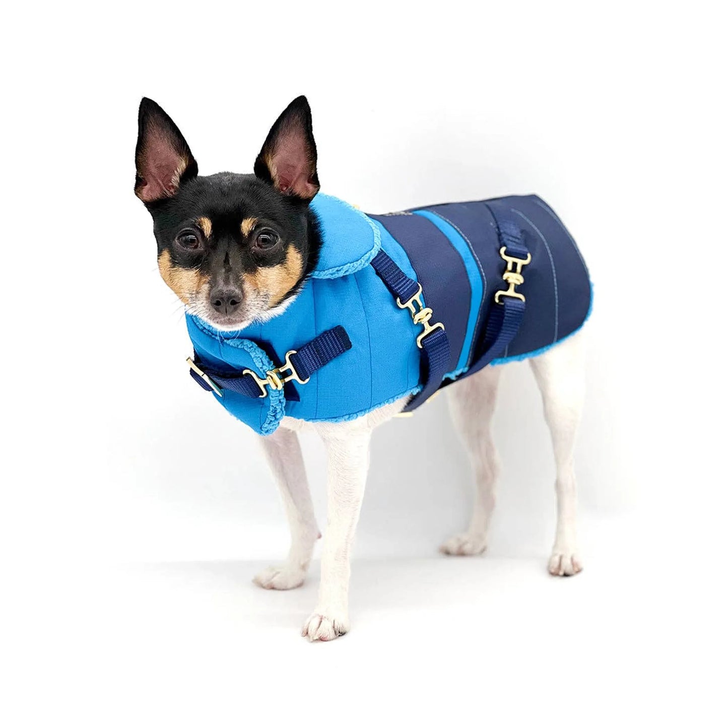 "Clear Blue Sky" - DCNY Equestrian Collection Dog Coat