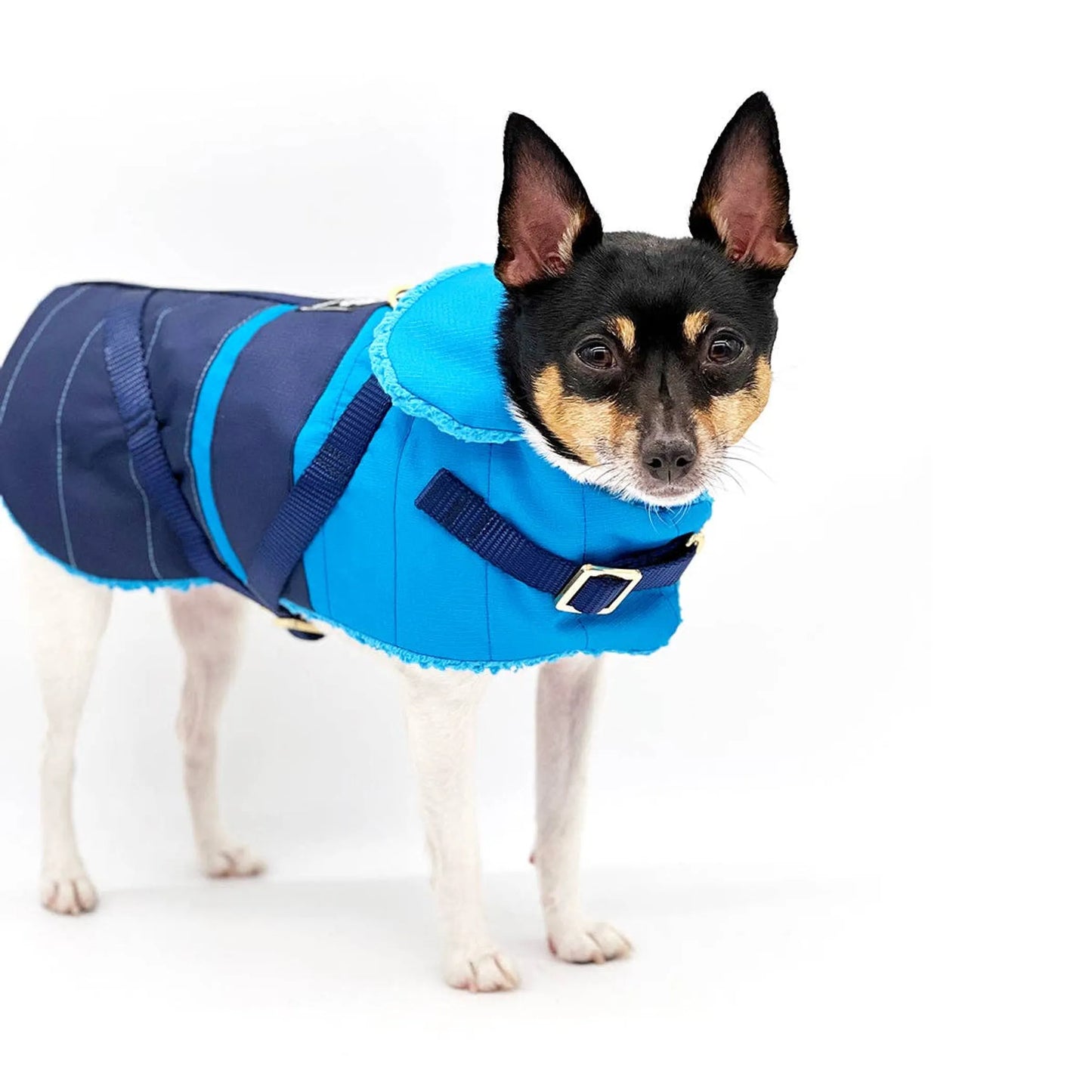 "Clear Blue Sky" - DCNY Equestrian Collection Dog Coat