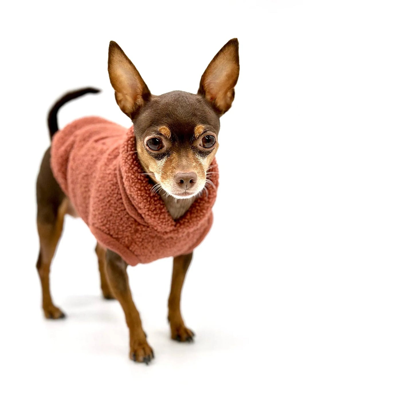 DCNY Cozy Sherpa Dog Pullover