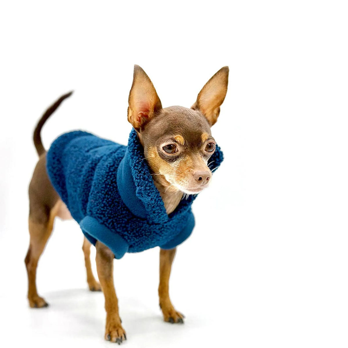 DCNY Cozy Sherpa Dog Pullover