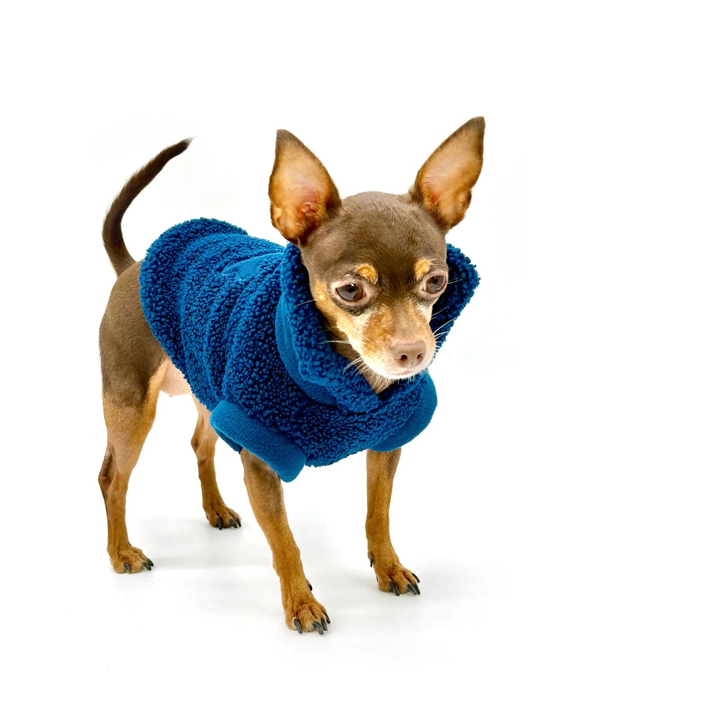 DCNY Cozy Sherpa Dog Pullover