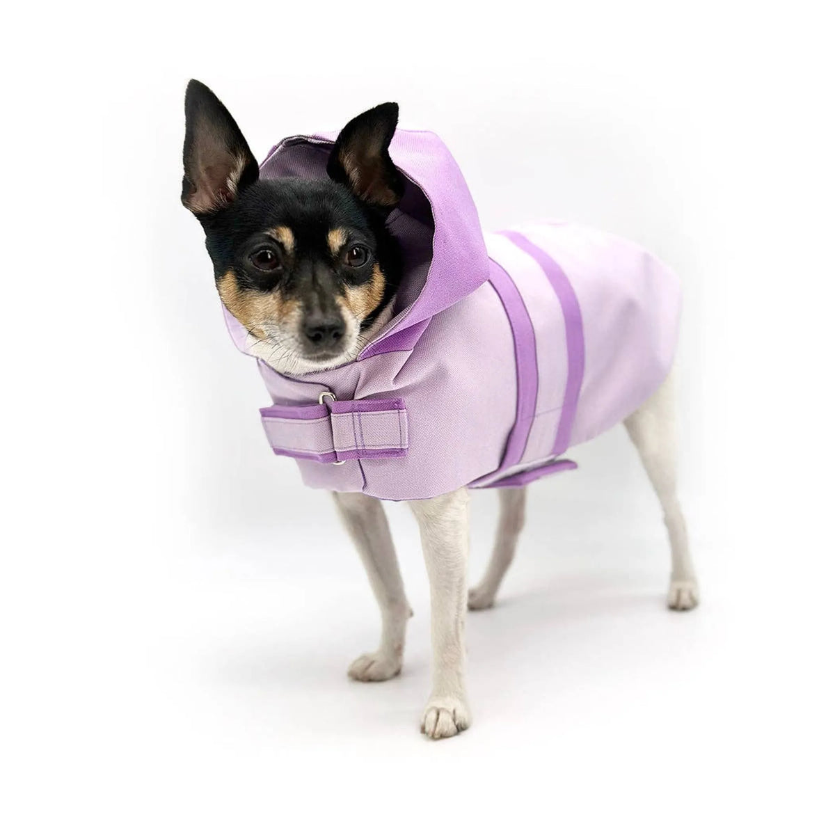 DCNY Sport Luxe Hooded Dog Raincoat