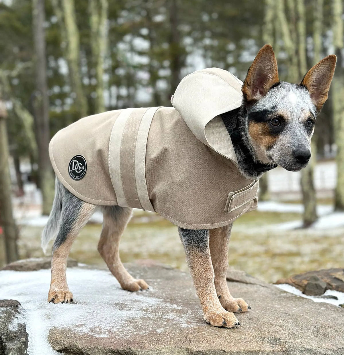 DCNY Sport Luxe Hooded Dog Raincoat