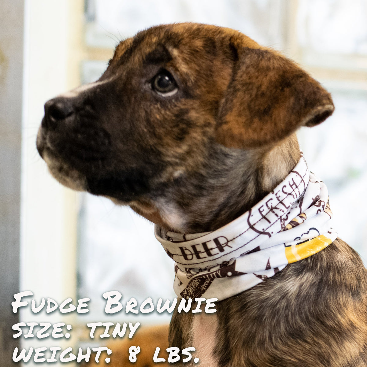 Beer Buddy Pup Scruff-2